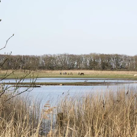 Luxus Ostseeferienhaus Erlenstamm