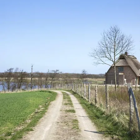 Luxus Ostseeferienhaus Erlenstamm